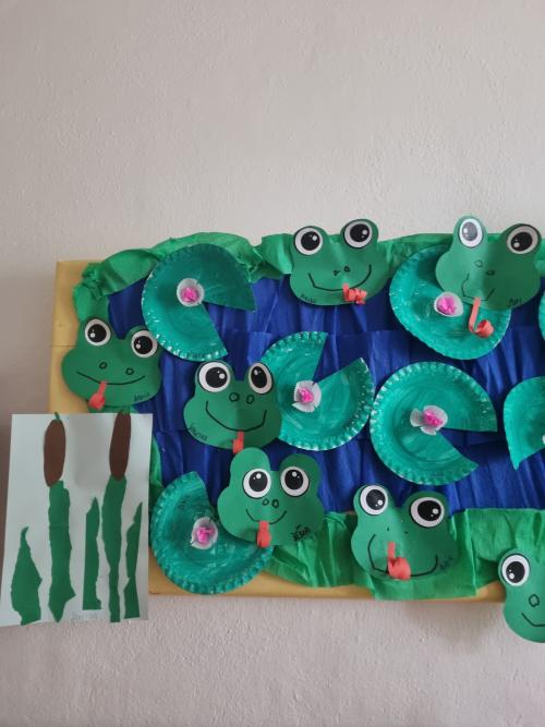 Život kolem vody - Berušky