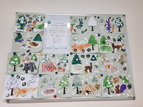 Zvířata a ptáci v zimě  u Berušek